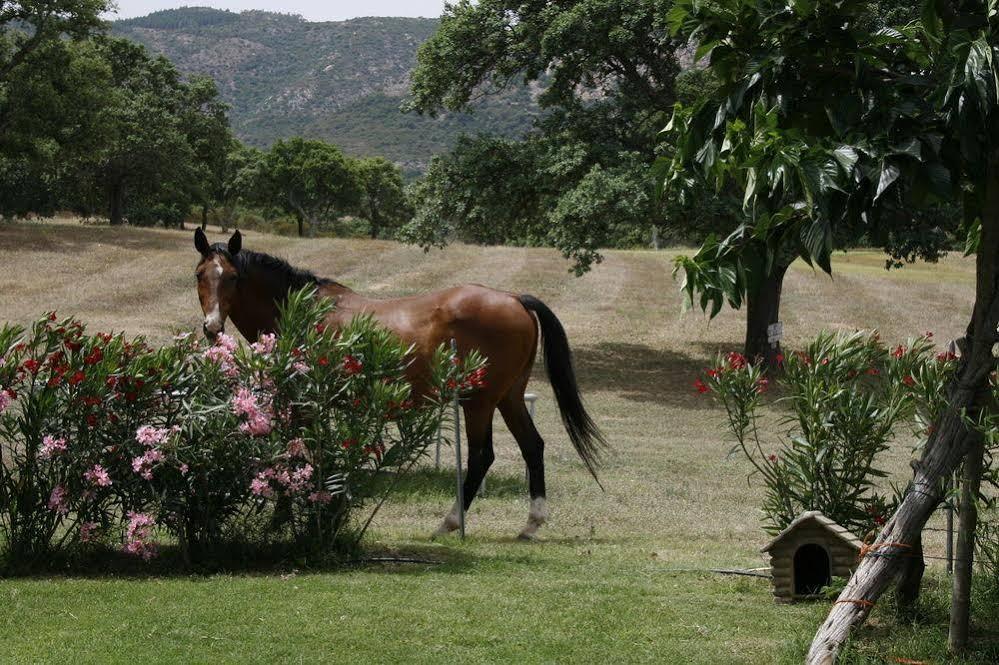 Borgo Di Campagna Hotel