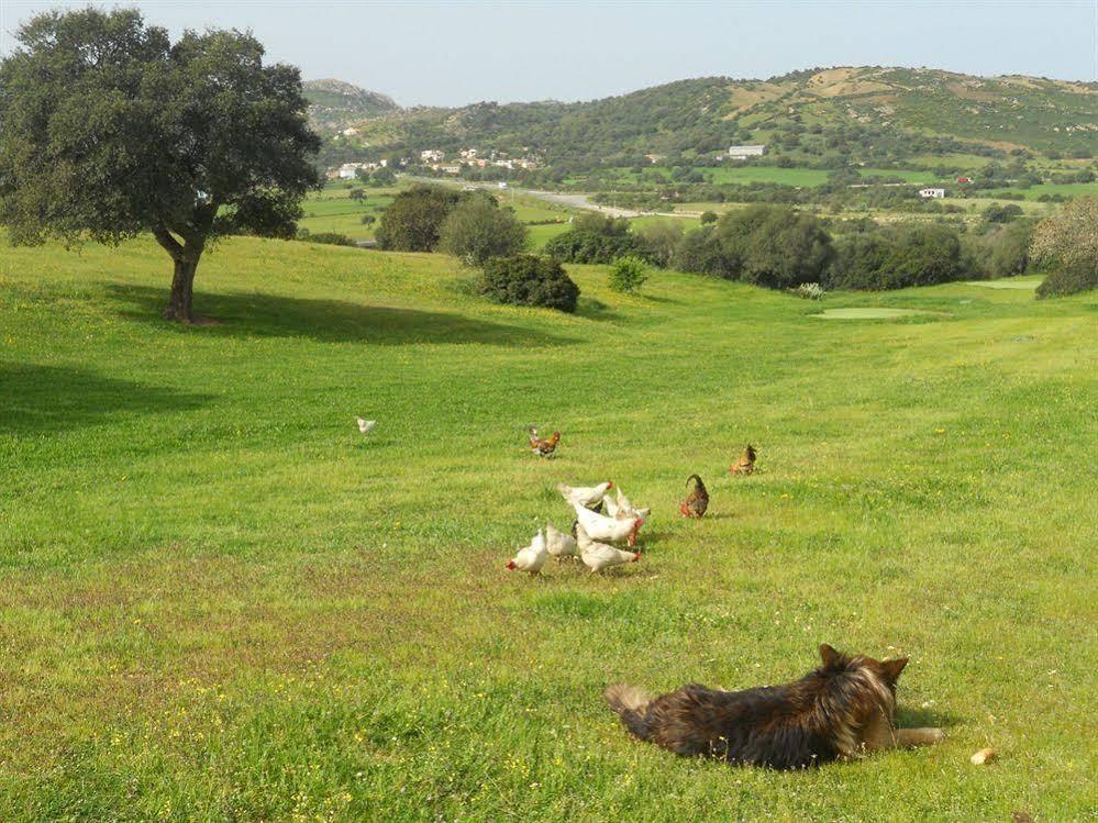 Hotel Borgo Di Campagna Loiri Porto San Paolo