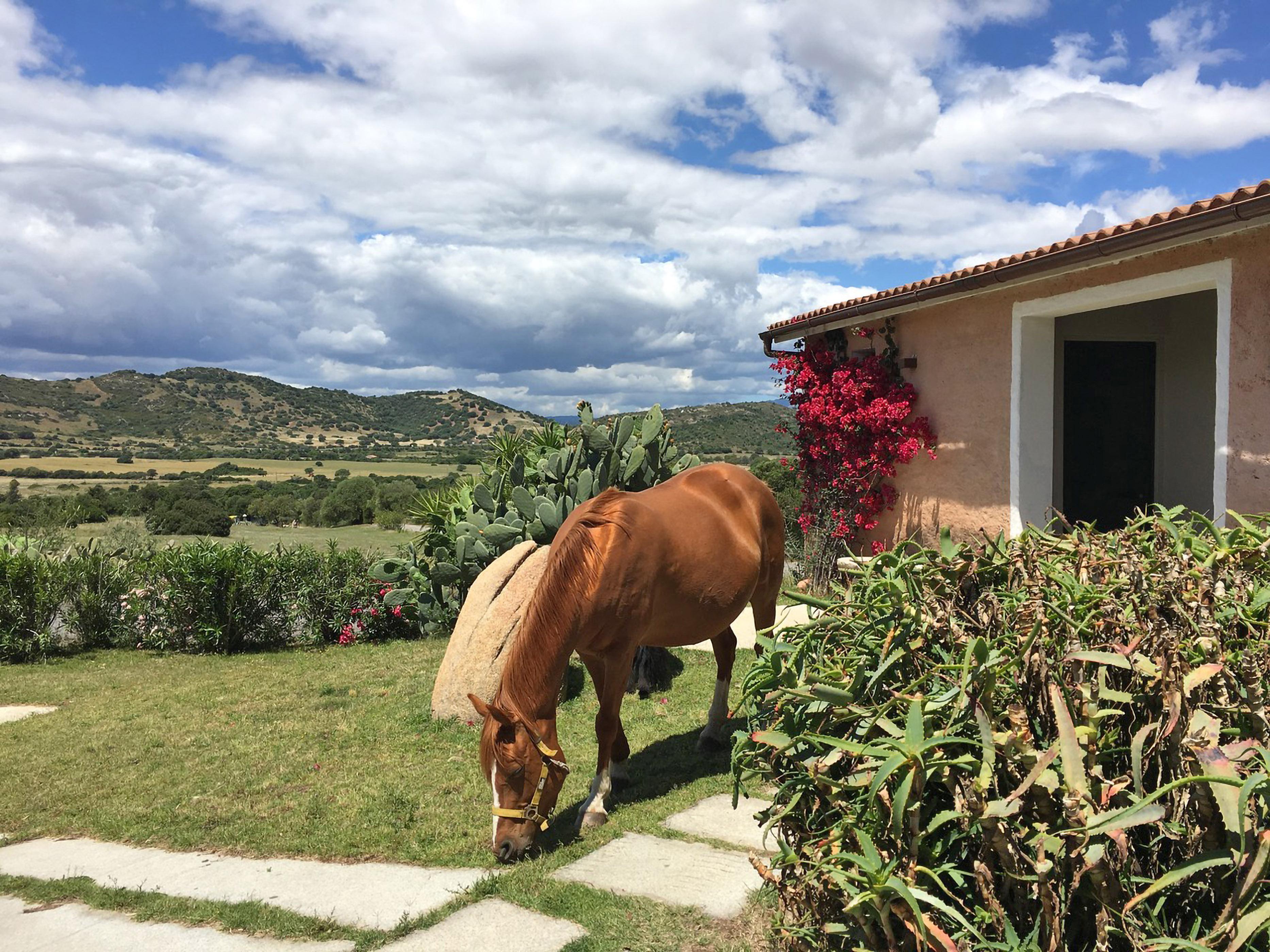 Hotel Borgo Di Campagna Loiri Porto San Paolo