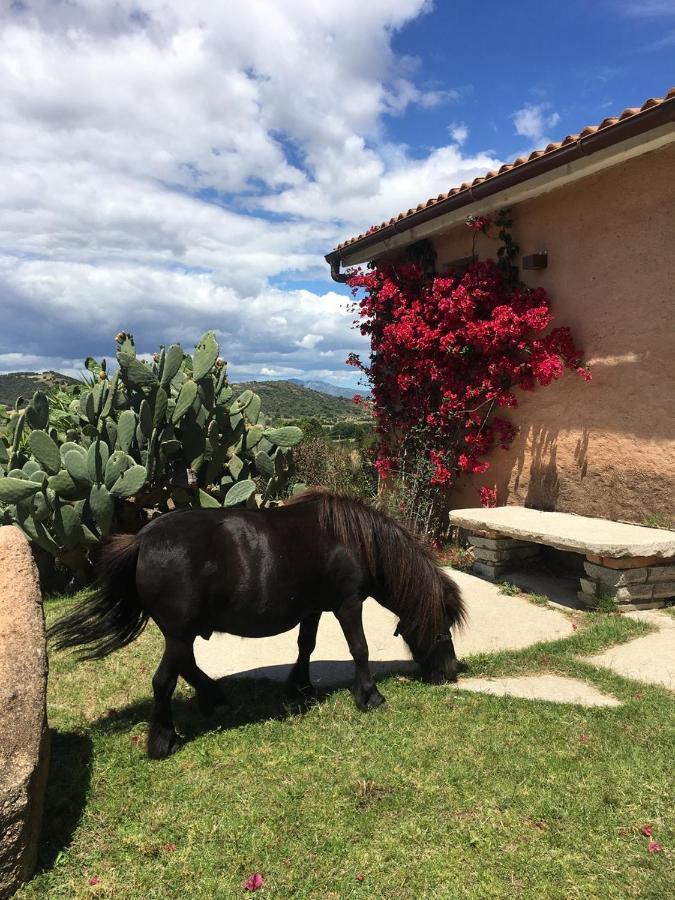 Hotel Borgo Di Campagna Loiri Porto San Paolo