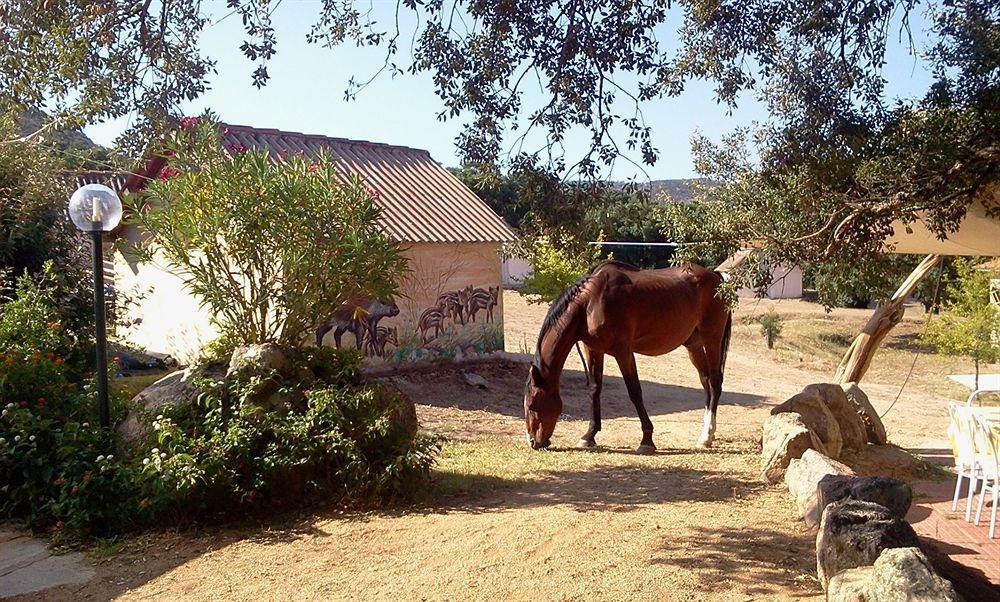Borgo Di Campagna 3*